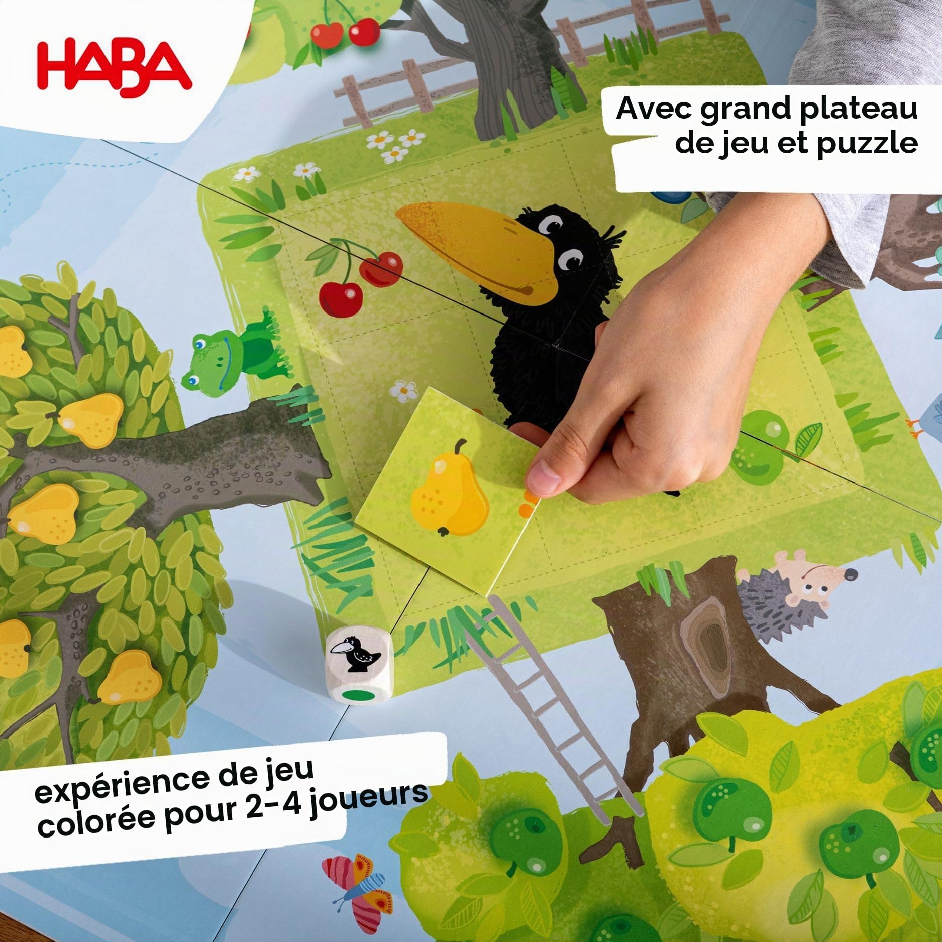 HABA Verger – Jeu coopératif dès 3 Ans, avec 40 Fruits en Bois colorés, pièces Robustes et règles Simples – Jeu de société Familial pour 1 à 8 Joueurs – 1004170001