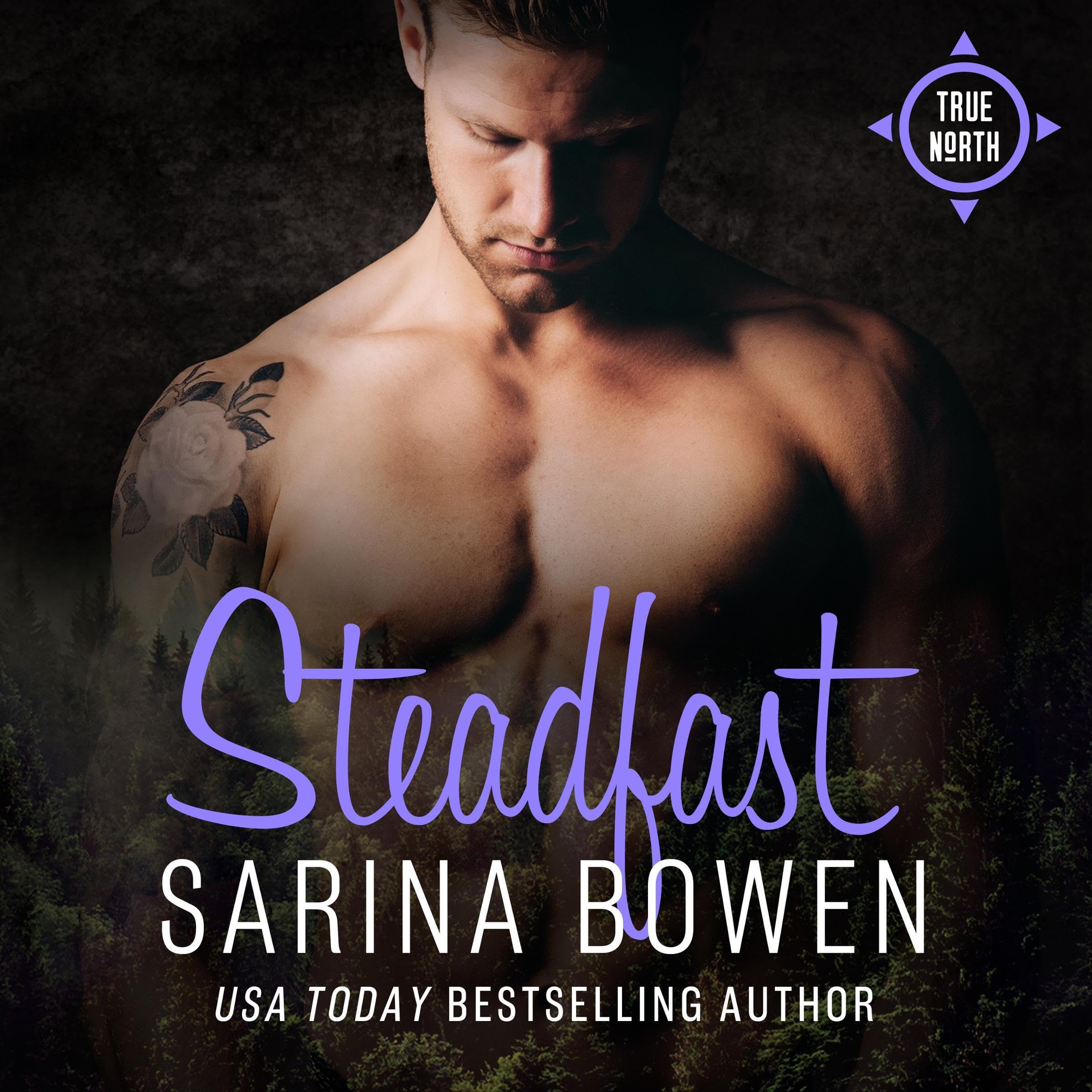 Cover art for Steadfast