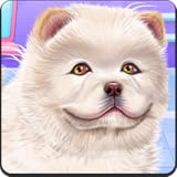 chow chow welpen kaufen bayern Easy control of the game Chow Chow Spa Salon