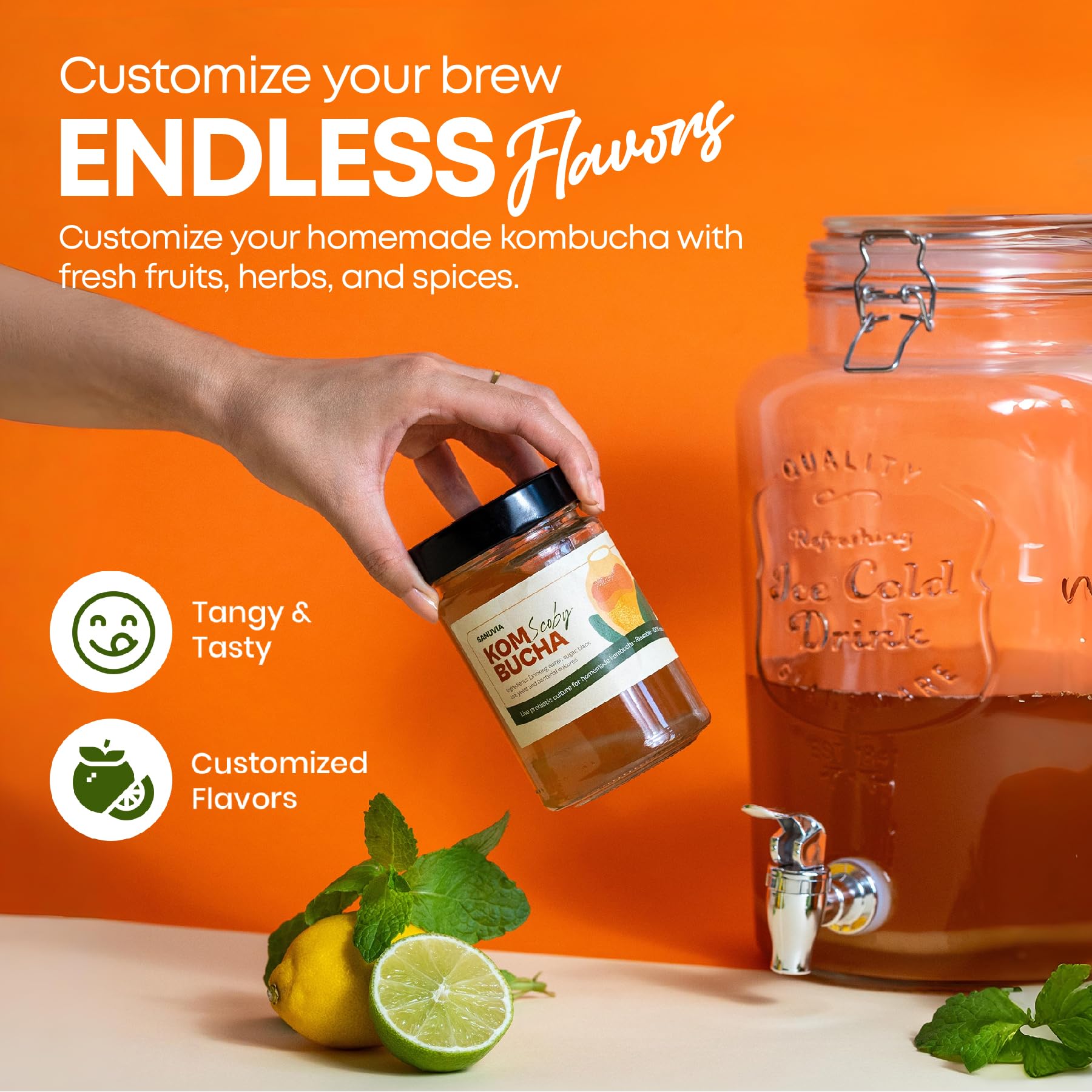 SANUVIA Kombucha SCOBY Starter Culture – Hongo de té con 300 ml de té iniciador en frasco de vidrio – Vegano, cultivo vivo, reutilizable