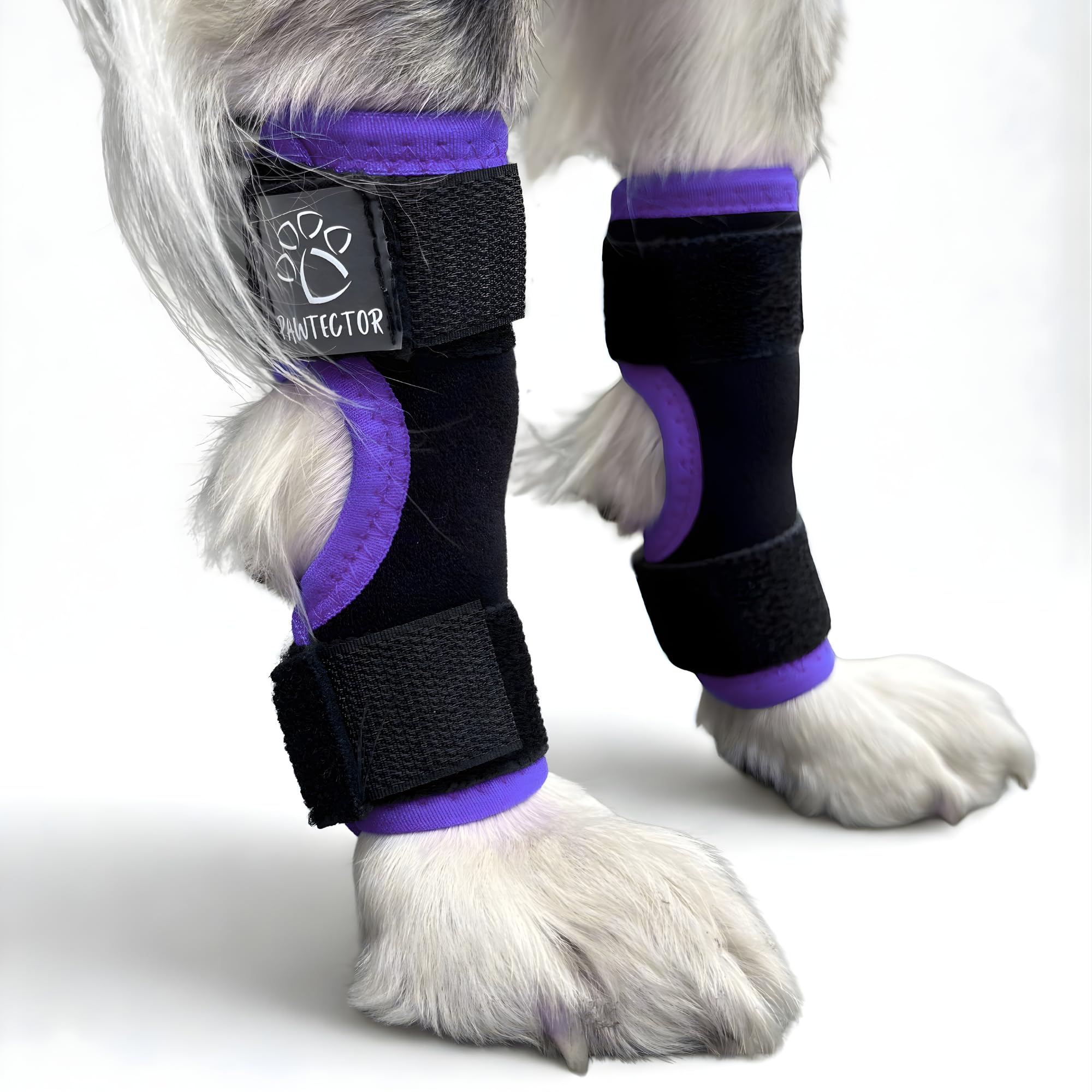 PAWTECTOR Dog Leg Brace - CarpiFlex Sport Wraps, Purple S/M