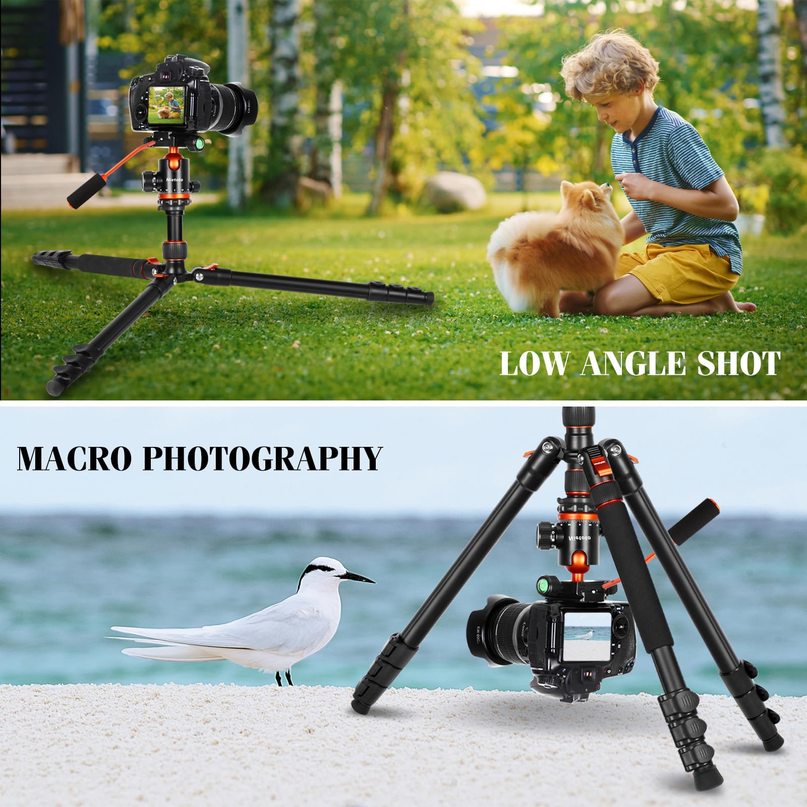 Treppiede per fotocamera con vassoio staccabile