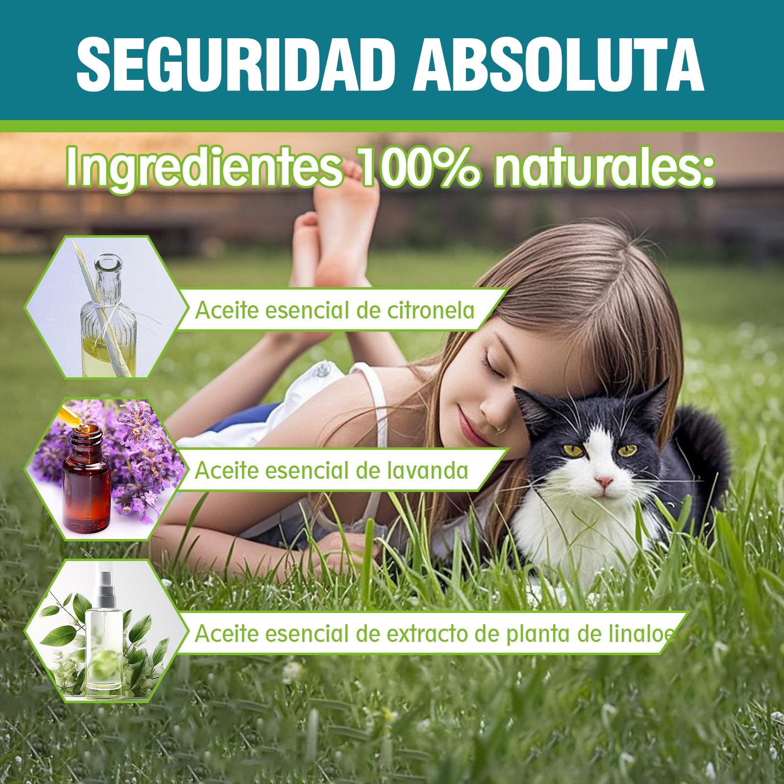 Collar Antiparasitario para Gatos, Collar Antipulgas y Garrapatas Ajustable, Gregado con Aceites Naturales, Impermeable, Apto para Todos Los Gatos,10 Meses de Protección