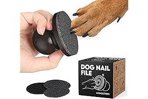 Dog Nail File: Stress-Free Nail Filing for Your Canine Companion