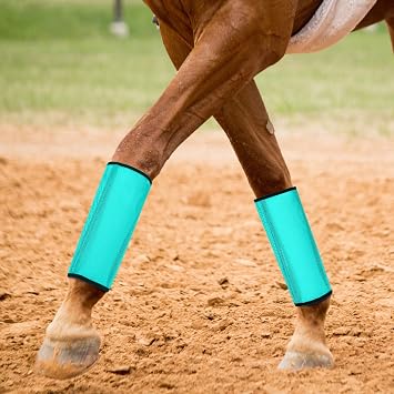 Sweetude16 Pcs Mesh Fly Boot for Horse, Orange, Pink, Blue and Dutch Green, | Breathable Mesh Horse Boots, Protective Leg Wraps, Preventing Flies and Mosquitoes Bites