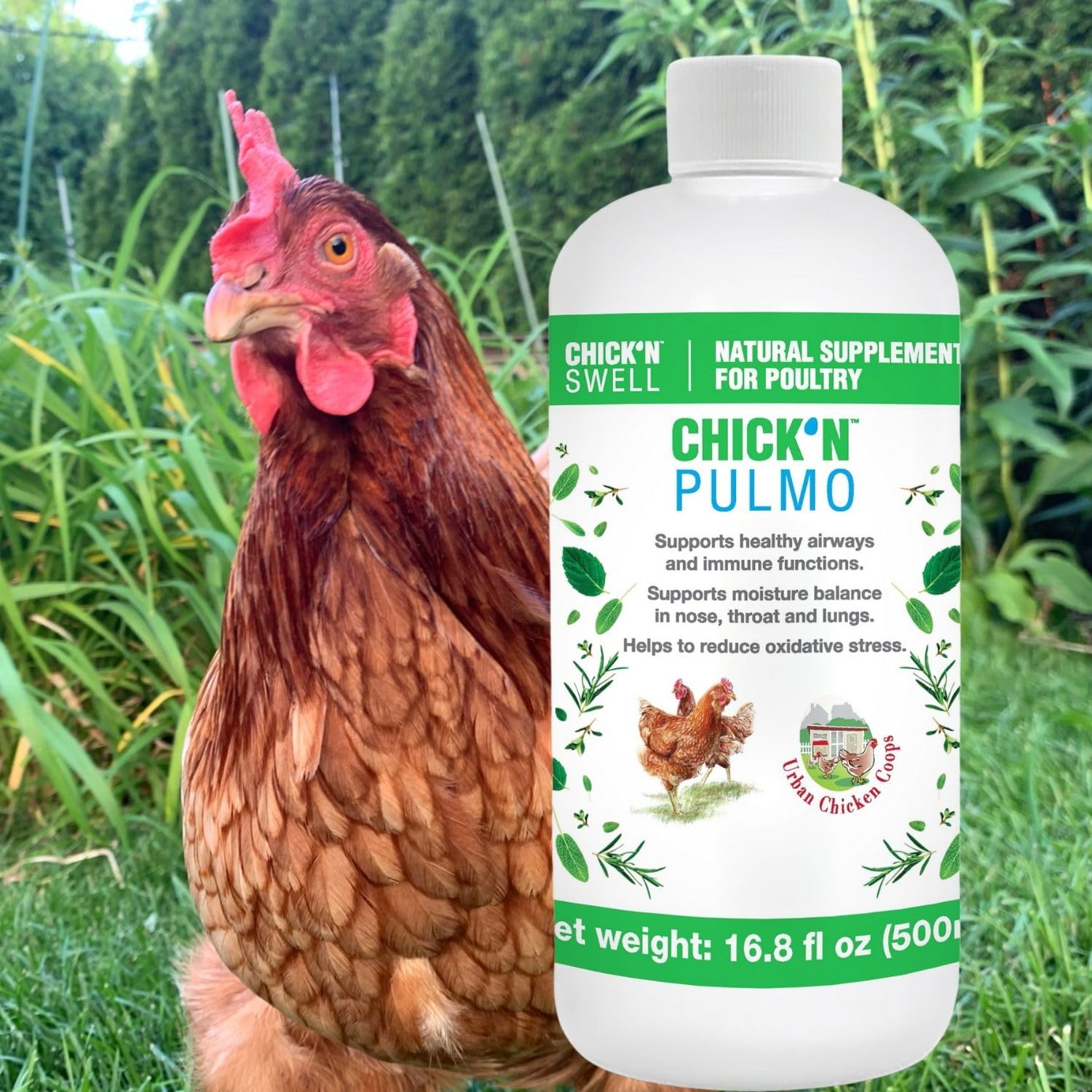 Poultry Respiratory Care Solution for Respiratory Health Maintenance. Chick'n Pulmo from Chick'n Swell for All Poultry of All Ages. 16.8 fl.oz.