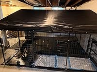 Review Image by Ryan Brown Ryan Brown