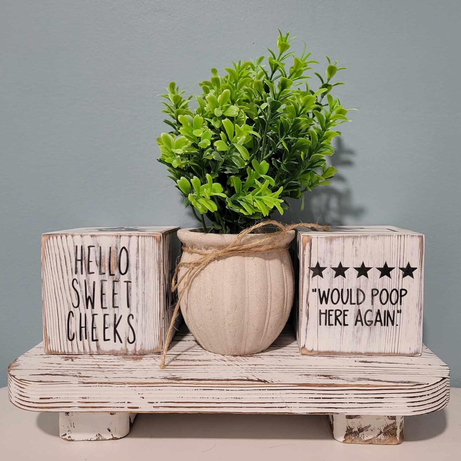 Rustic Wooden Bathroom Decor Set with Plant and Tray