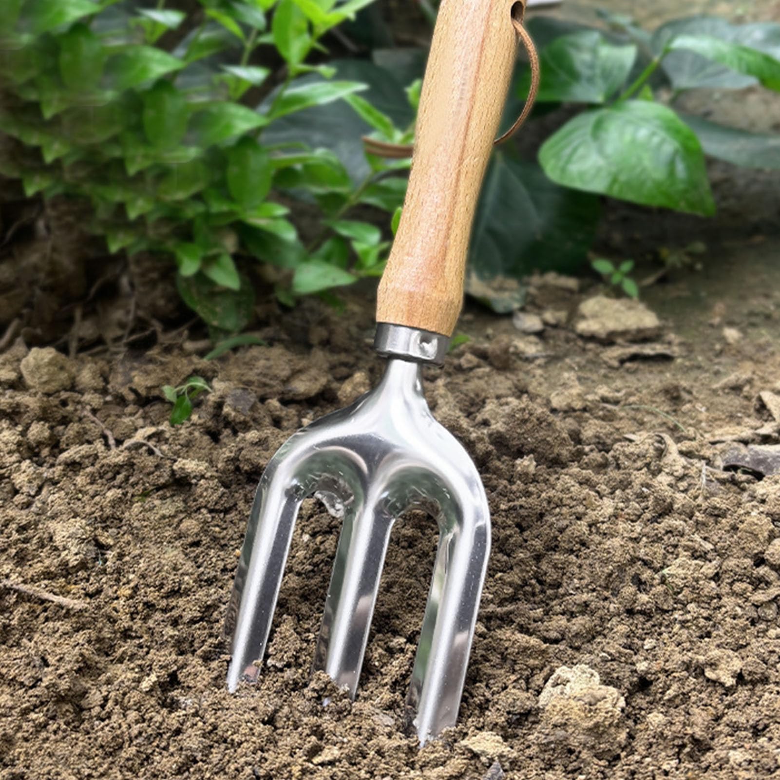 Cryfokt Kit de Jardinage en Acier Inoxydable, 6 Pièces avec Échelle de