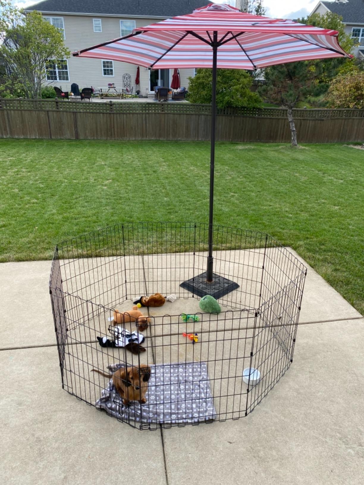 Dog Foldable Playpen Gate Twin Dogs