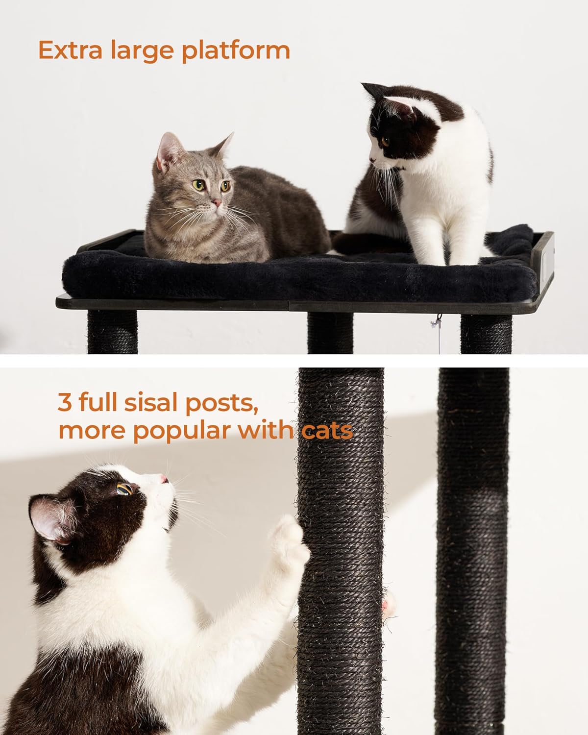 https://m.media-amazon.com/images/I/81YM5qvhghL._AC_SL1500_.jpg