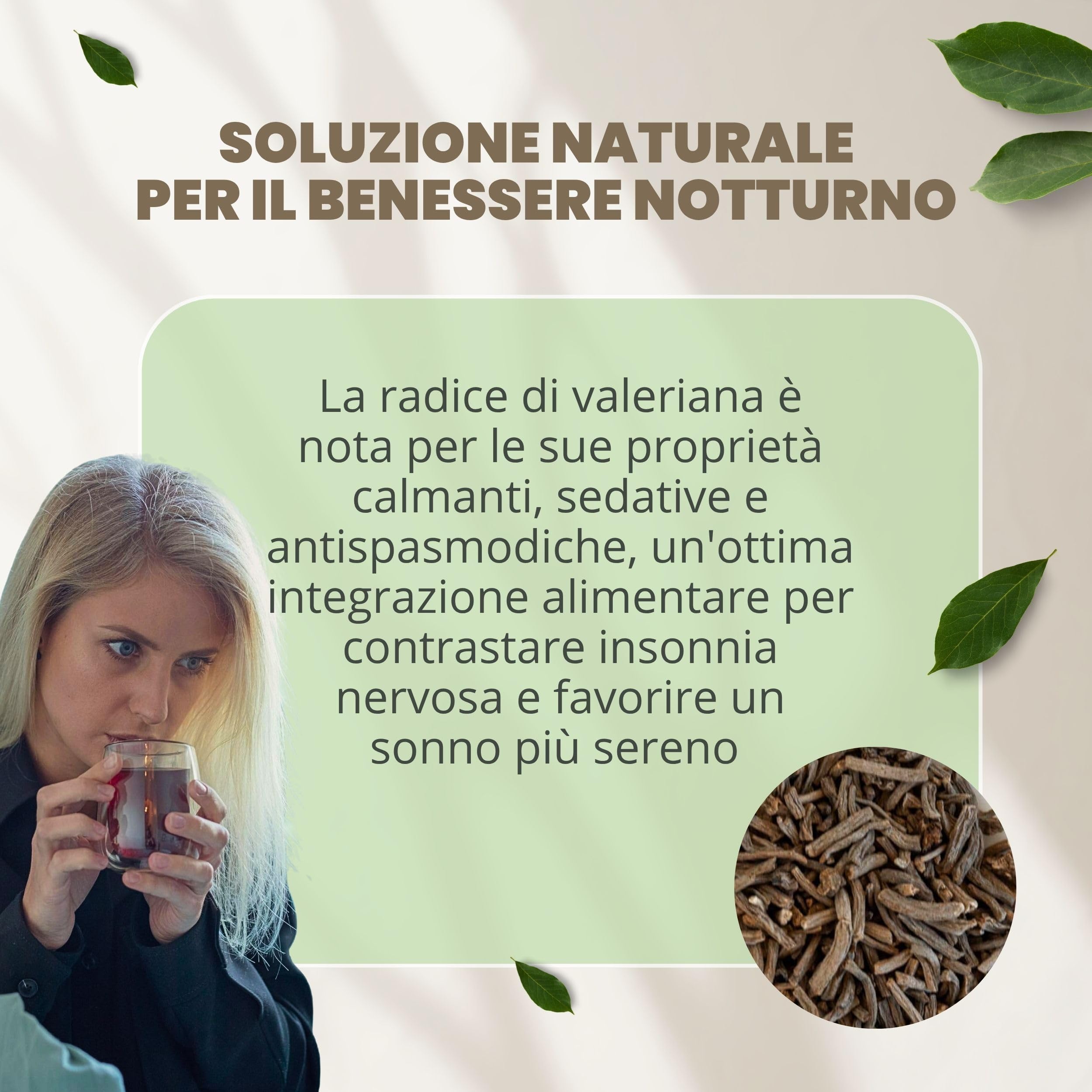 Valeriana officinale radice extra taglio tisana 500 g