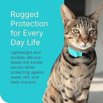 Tabcase v2 Protective Case 2 Pack for Loc8tor TabCat Pet Collar Locator v2 Turquoise
