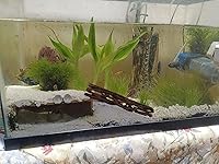 Review Image by Nicolas treat Nicolas treat