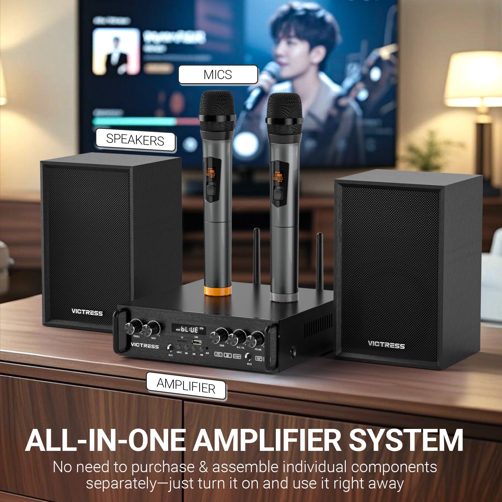 Ricevitori e amplificatore audio domestico all-in-one con altoparlante HiFi professionale e doppi microfoni wireless UHF, set di amplificatori stereo Bluetooth 5.0 per casa/festa/musica, USB/TF/AUX