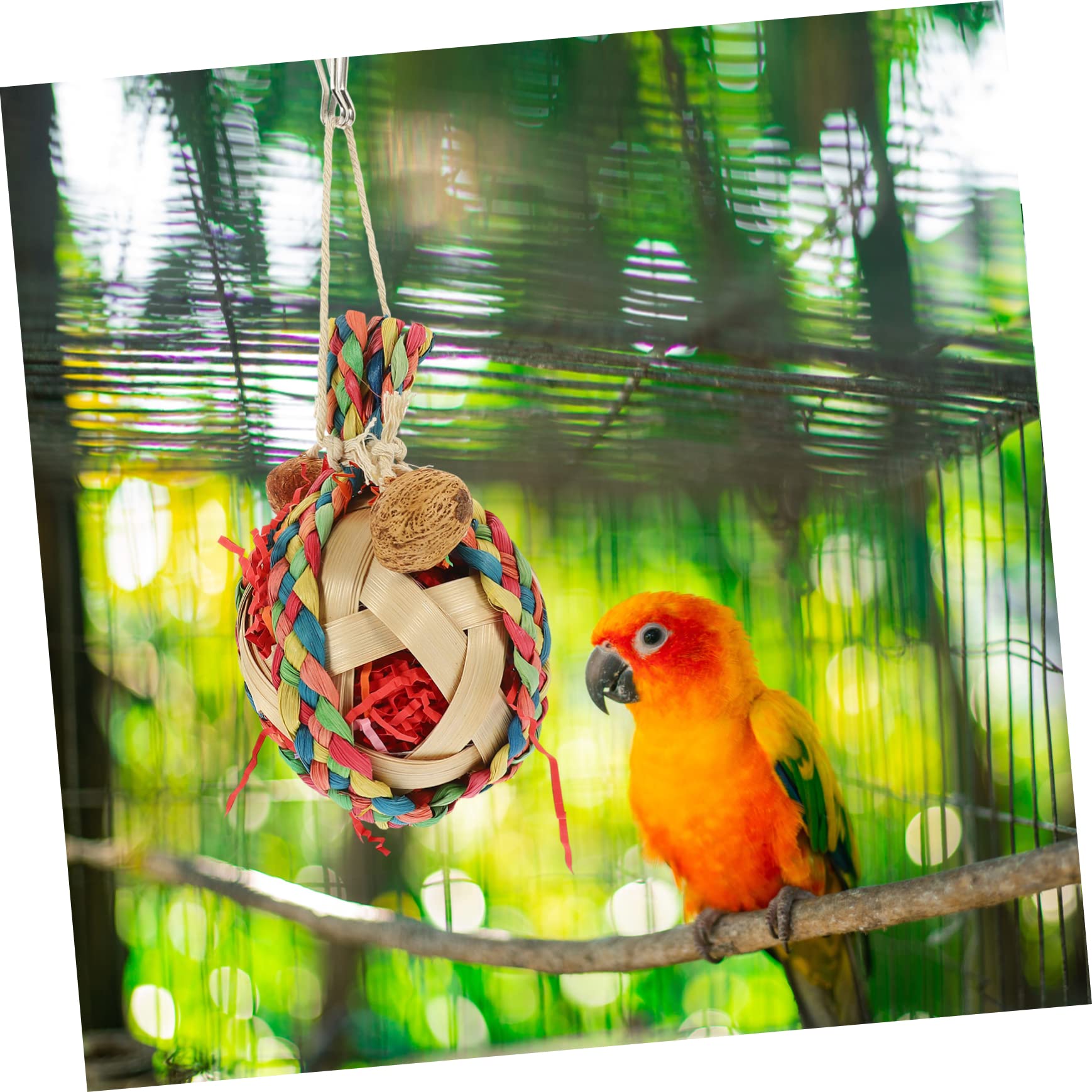 VANZACK 5pezzi Giochi Per Pappagalli Naturale Giocattolo Da Appendere Per Uccelli Sicuro e Resistente Accessorio Divertente Per Pappagalli e Altri Uccelli Design Decorativo Per Gabbie e