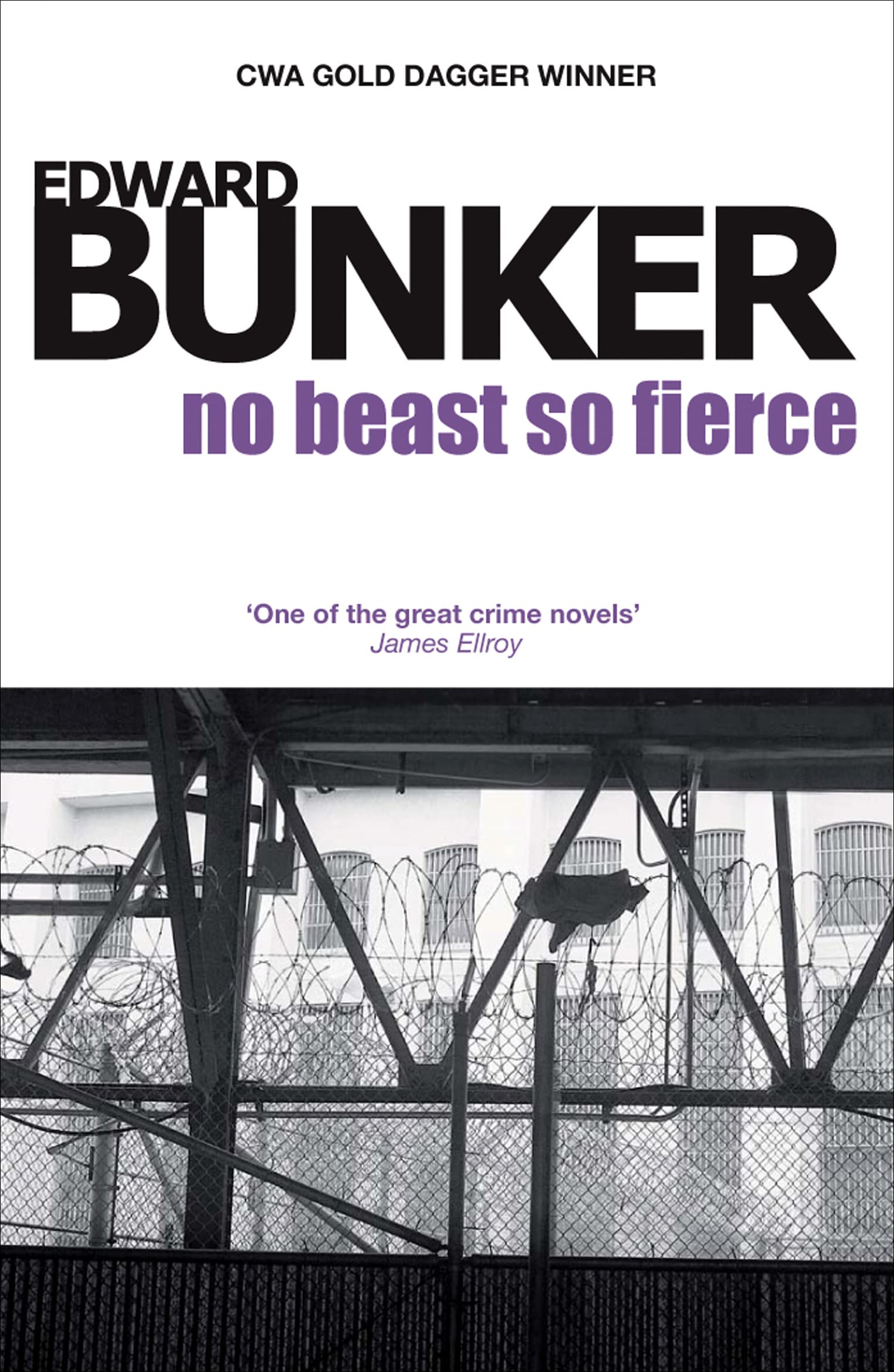 Buy No Beast So Fierce — BookShops.in