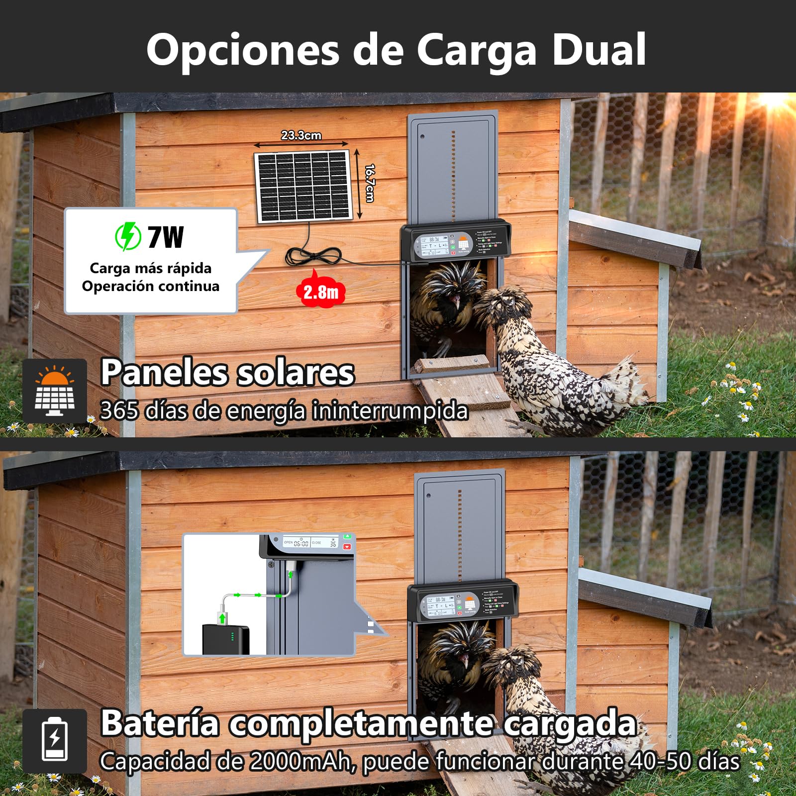CHAMUTY Puerta Automática de Gallinero con Pantalla, Control Remoto, Aluminio, Resistente a Condiciones Climáticas Extremas