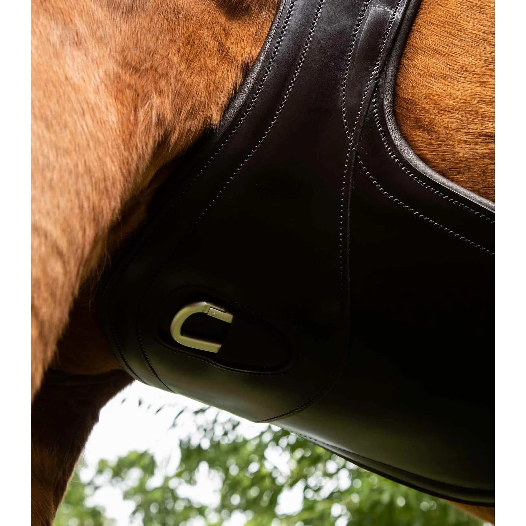 Premier Equine - Correa de piel anatómica, diseño de babero