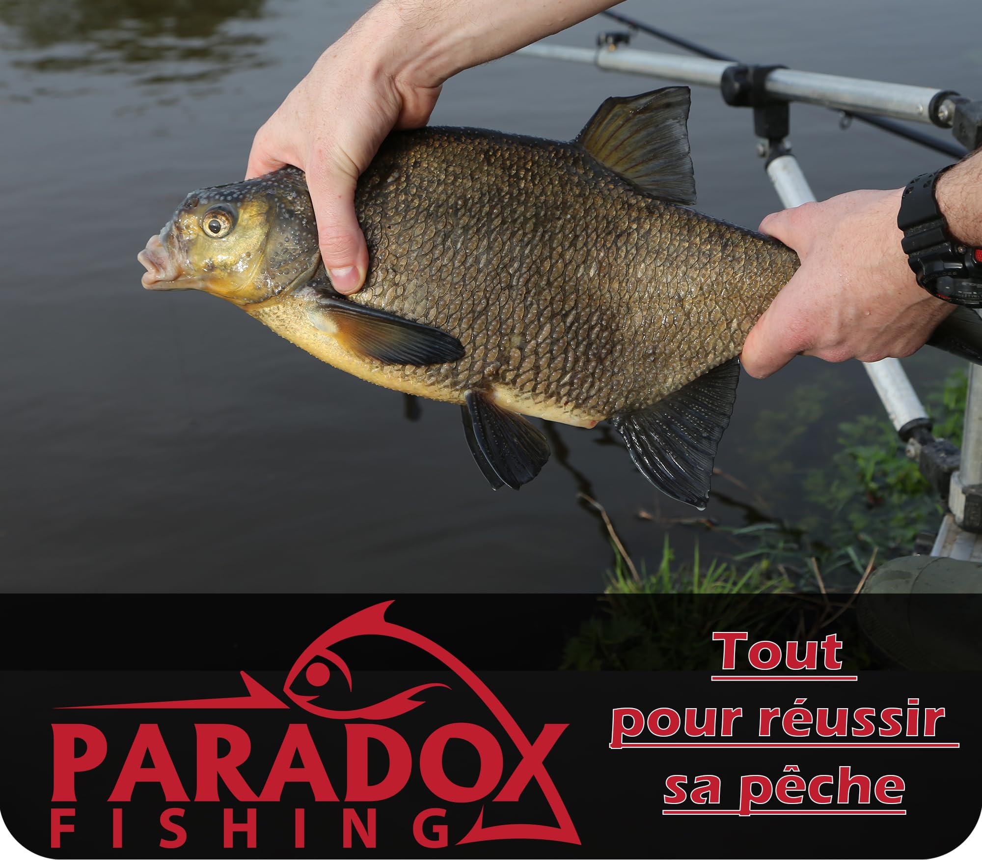 Paradox Fishing Lot de 5 flotteurs de pêche 2g 4g 8g pré-blanchi