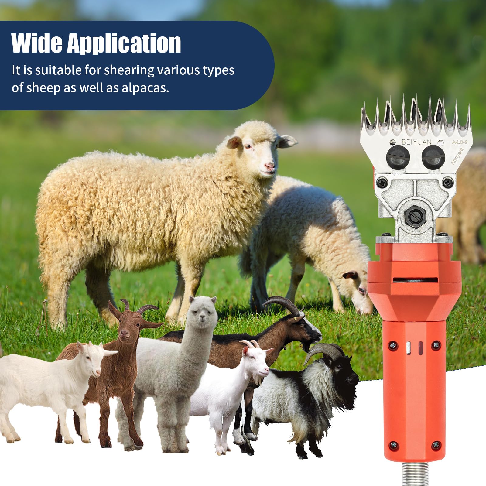 WUSILILU 1200W Sheep Shears, 9-Tooth Blade 2800r/min Manganese Steel Professional Heavy Duty Electric Sheep Clippers for Mianyang, Tibetan Sheep, Hu Sheep, Goats, Small-Tailed Han Sheep, Tan Sheep