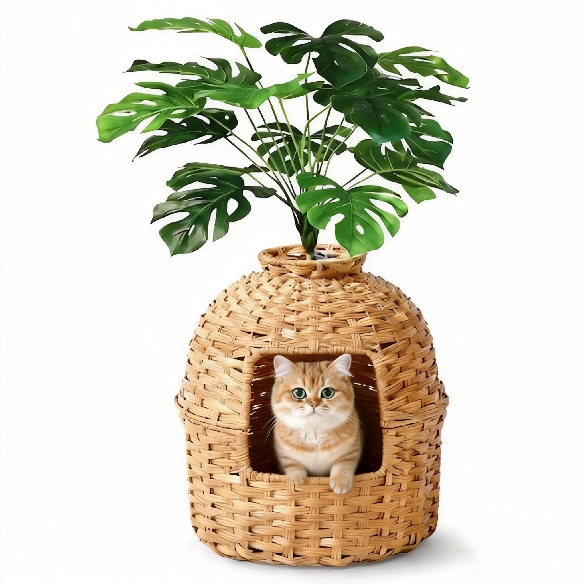 Lettiera per gatti nascosta con pianta e pala, in rattan intrecciato a mano, con controllo degli odori e filtro al carbone (naturale, porta quadrata)
