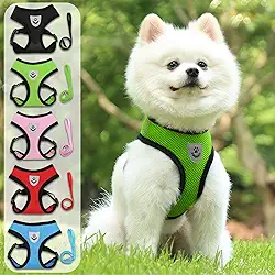 Conjunto de coleira e coleira ultrafina, respirável, sem puxar, colete refletivo para cães pequenos e médios - caminhada, corrida, acampamento - serve para maltês, chihuahua, poodle, shih tzu (verde