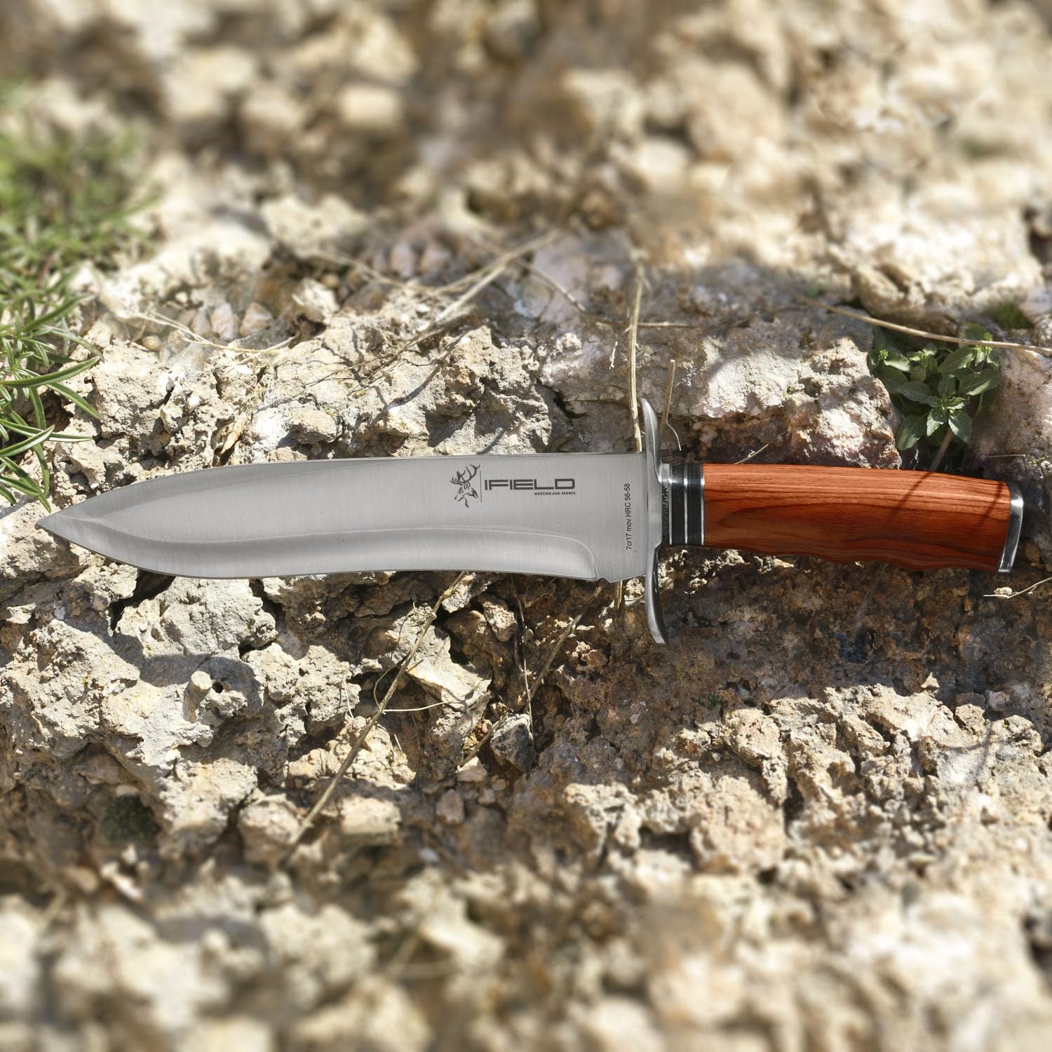 Cuchillo de caza deportivo iFIELD Camper EL29011, mango Stamina, total 37 cms, hoja 23,5 cms, virola acero, con funda de piel color marrón, herramienta de camping para pesca, caza, actividad deportiva
