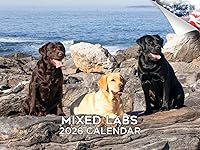 Vista 226 de Razas de Perros 2017