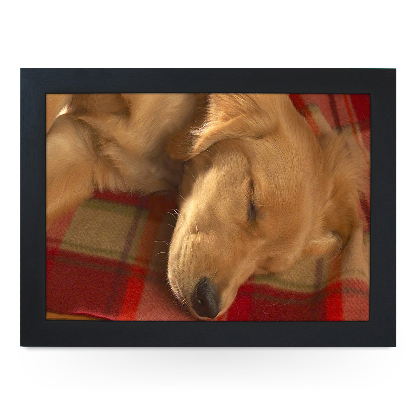 Portable Lap Desk Tray (Sleeping Golden Retriever) Handmade Wooden Frame, Beanbag Cushioned Bottom | Computers, Laptops, Meals, Food | L0041 Black
