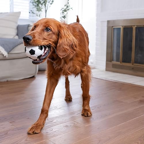Miniatura 8 de Planet Dog Orbee-Tuff - Balón de fútbol