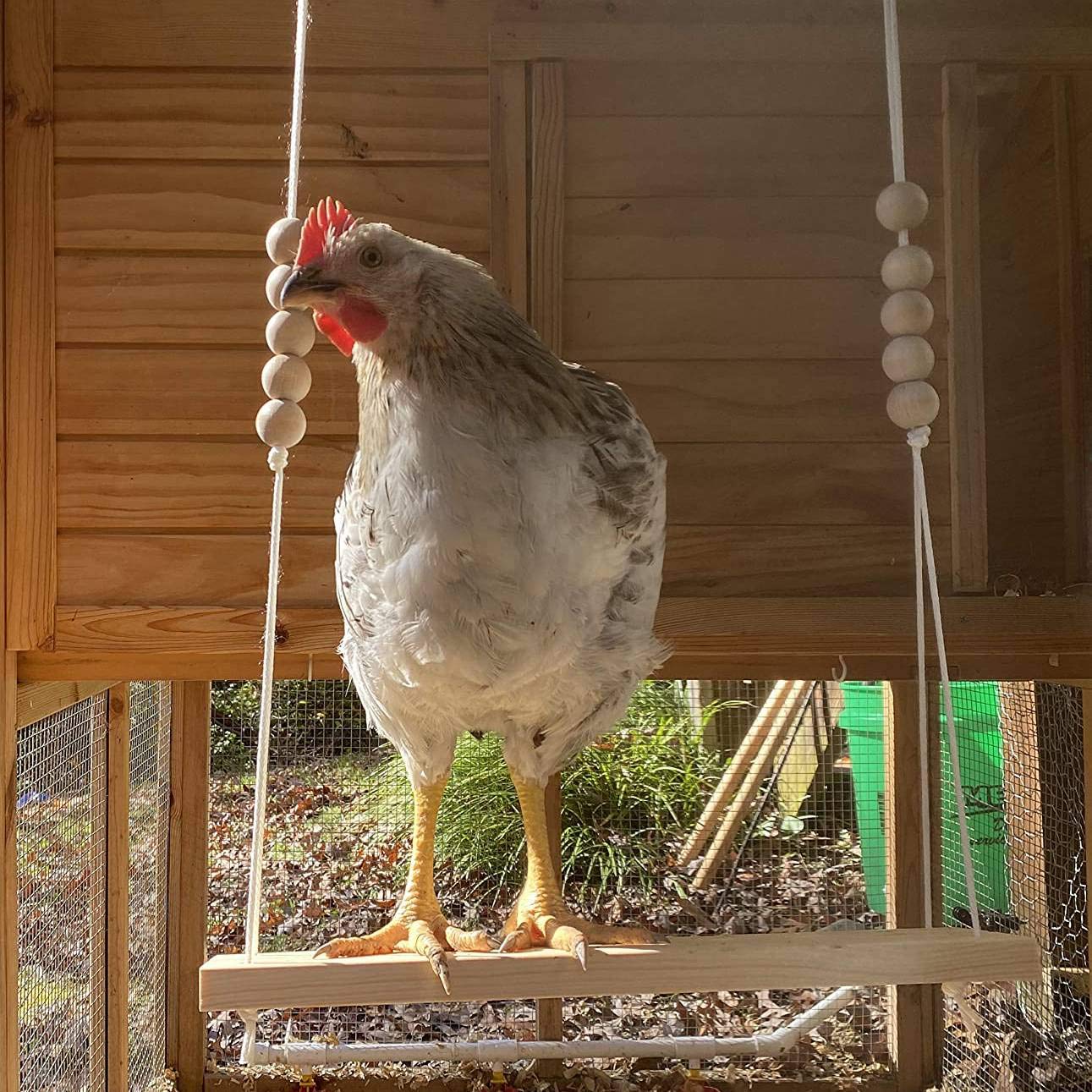Giocattolo 'Altalena di Pollo per Accessori nel Legno Naturali Sicuri di Pesce Persico Grande e Durevole per Galline da Cortile