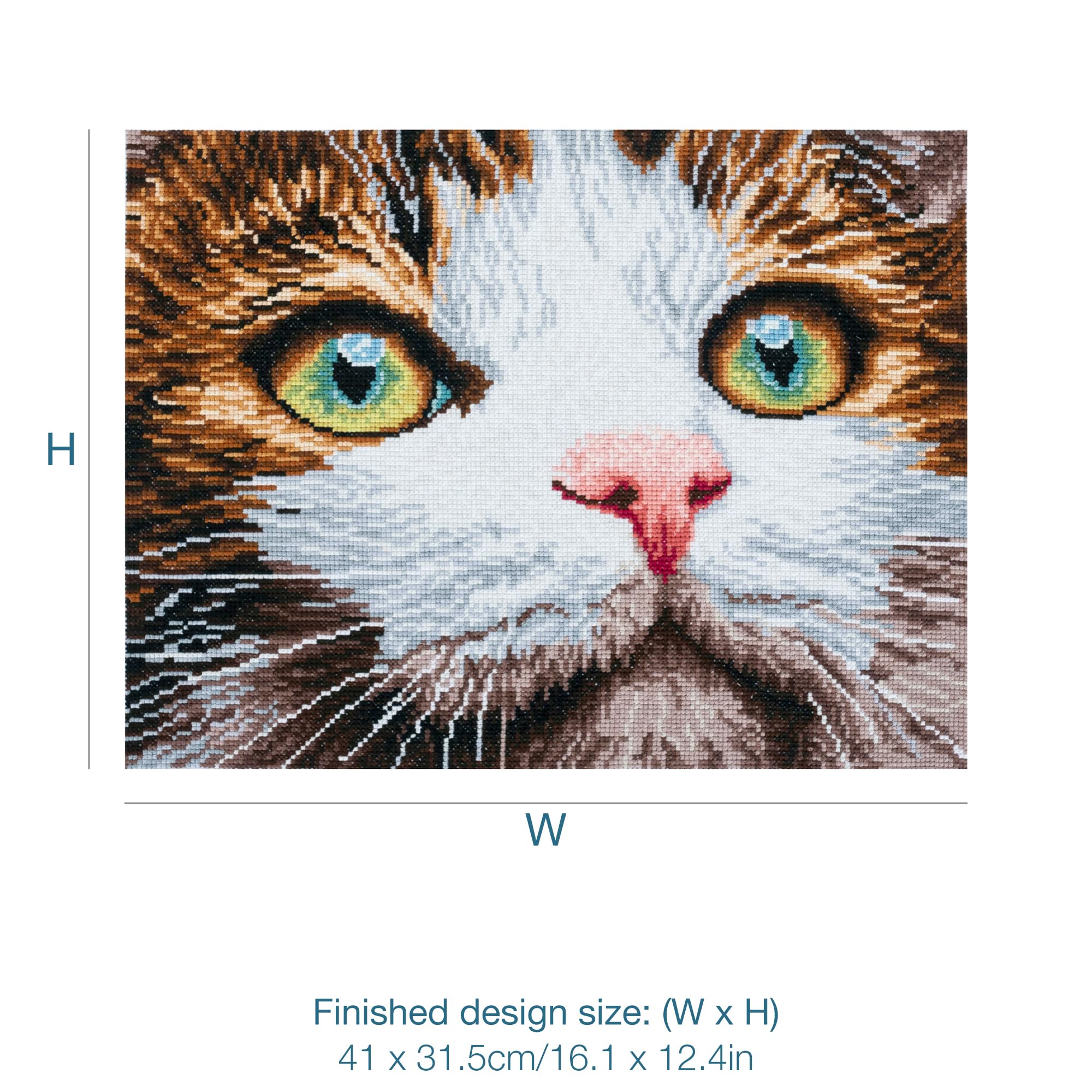 View 5