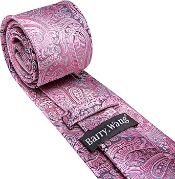 Barry.Wang Men Tie Set Floral Paisley Silk Necktie Pocket Square Cufflinks