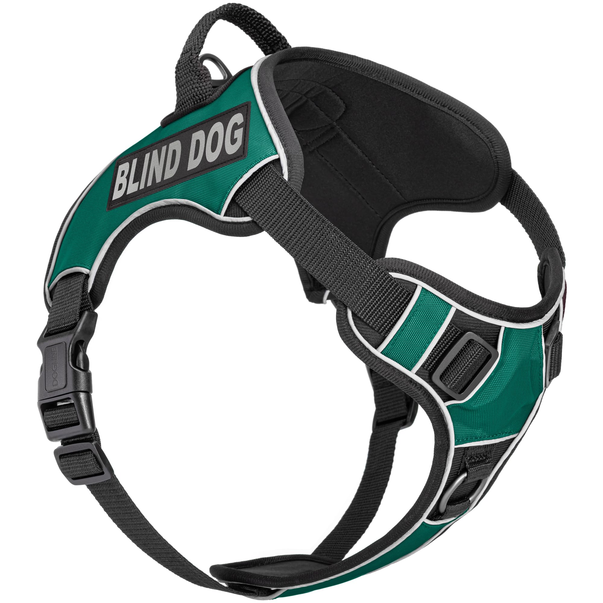 Dogline Quest Harness in Teal