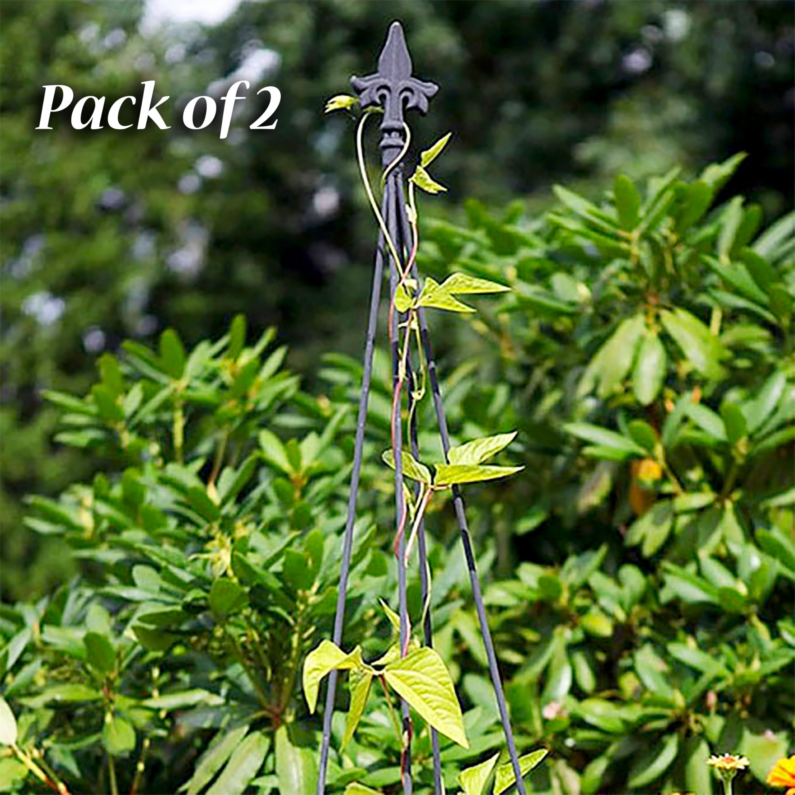 Amazon.com : Achla Designs FT-21 Fleur-de-lis, 78-Inch Wrought