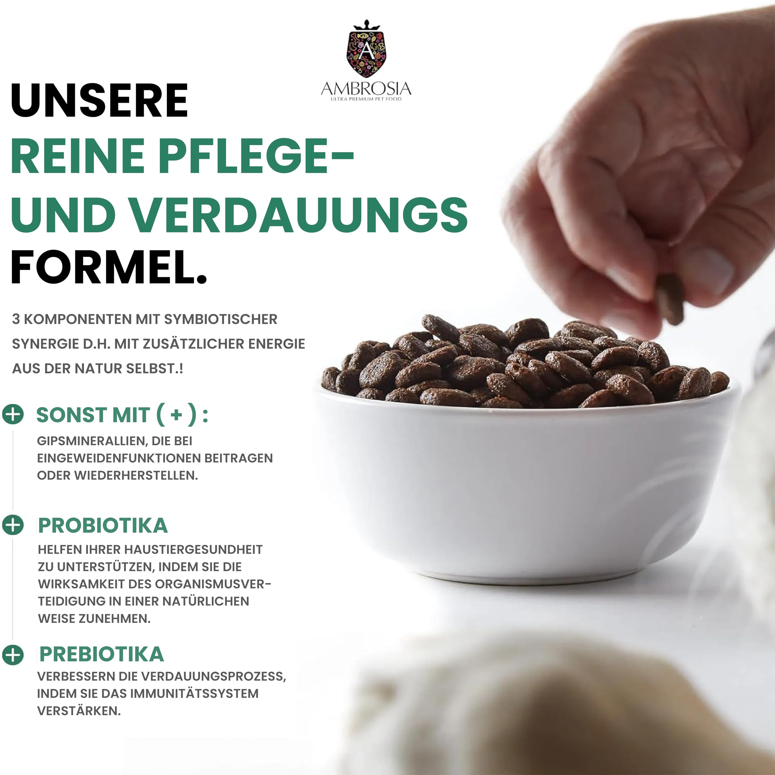 Ambrosia Ultra Premium Pet Food - Świeży indyk i łosoś – kontrola wagi – całościowo hipoalergiczna, nie zawiera zbóż, dla starszych i sterylizowana karma dla psów (12 kg)