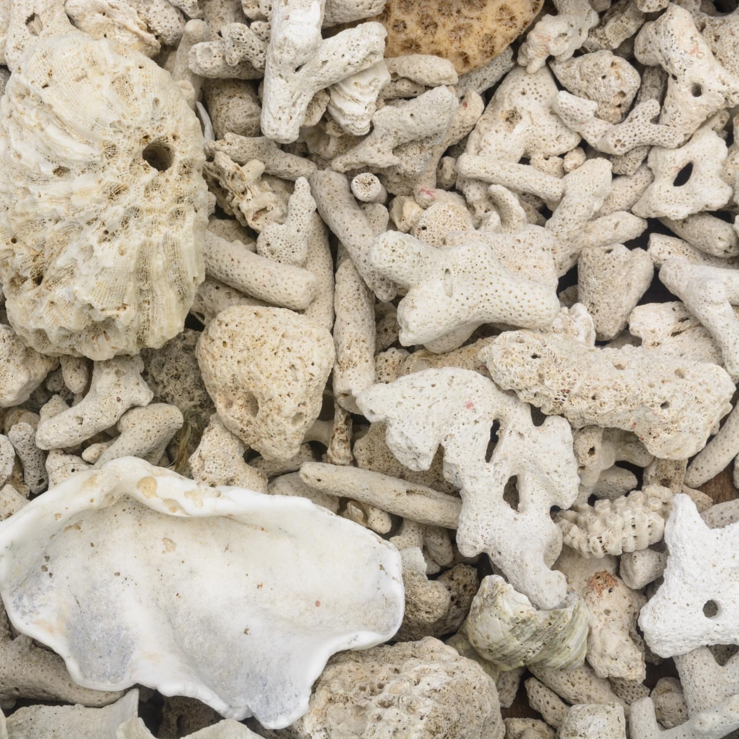 JINKEYULV Fish Tank Coral Filter?Small? Fish Tank Filter Crushed Coral for Freshwater Aquarium