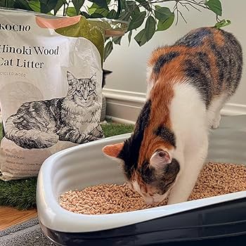 Amazon.com : KOCHO Hinoki Wood Cat Litter, Upcycled, Ultra