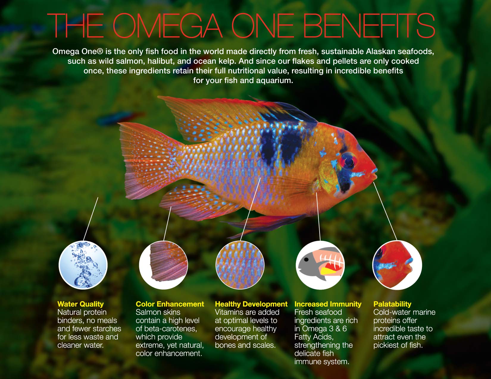 Omega One Adult Turtle Sticks, Floating, 11 mm, 2 lb Bucket 3