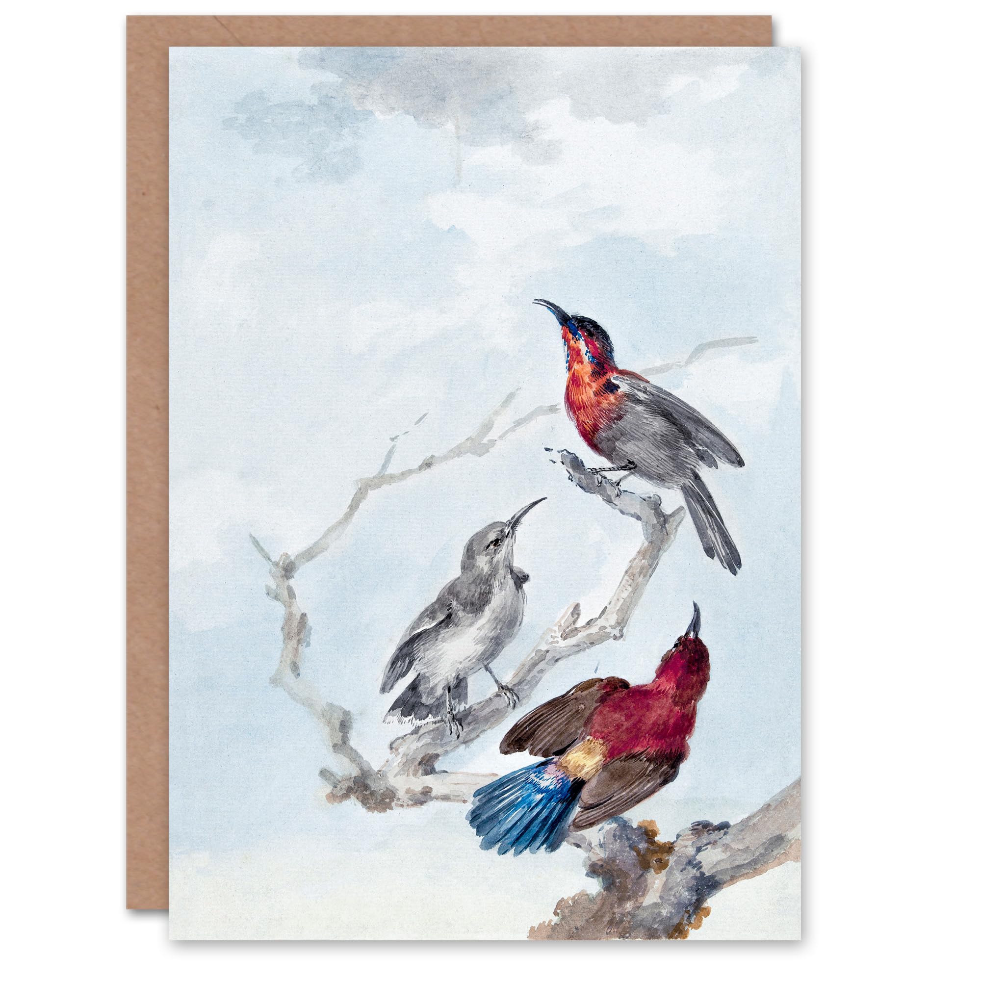 Artery8 Aert Schouman Art Card Three Crimson Sunbirds Watercolour