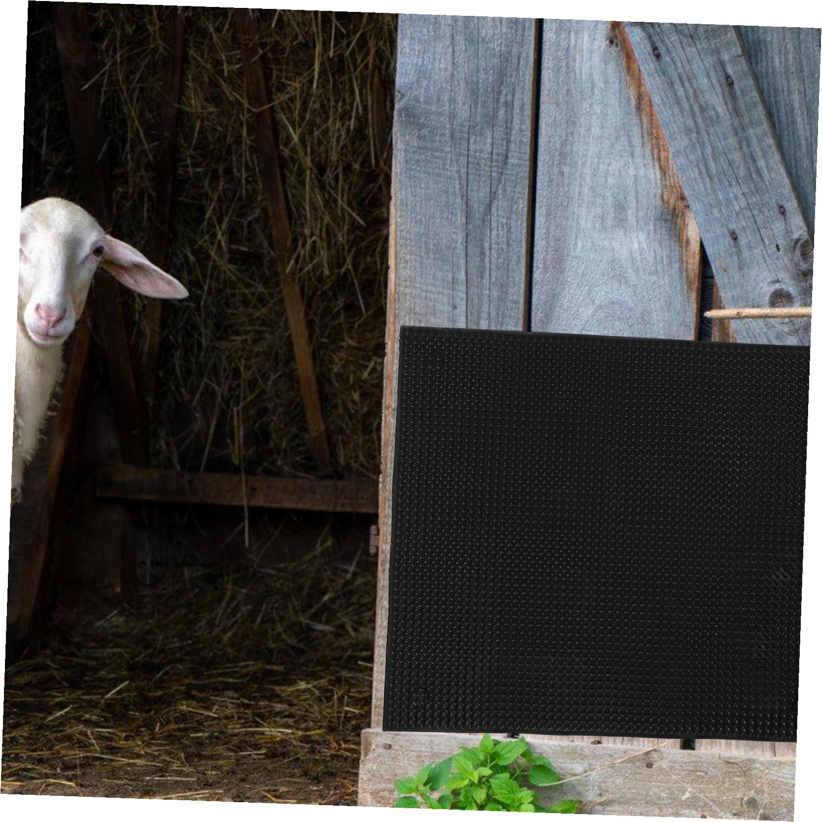 BESTonZON Spazzola per Bovini Antiprurito in Resistente Intemperie Tappetino da Grattare per Mucche e Accessorio Fattoria Facile da Installare per Sollievo Prurito Animali
