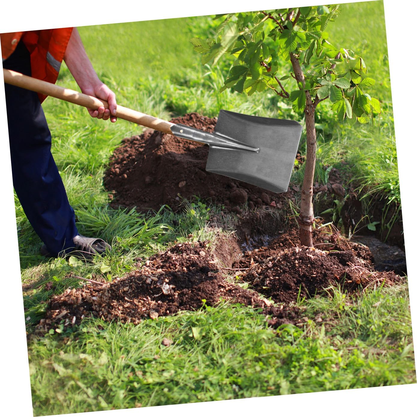 Carbon Steel Coal Hand Shovel for Gardening and Agricultural Use image 5