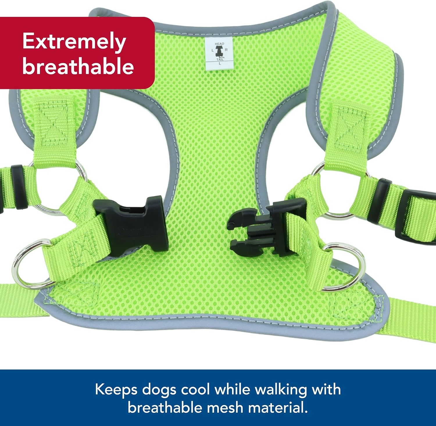 Coastal Pet Comfort Soft Reflective Wrap Adjustable Dog Harness - No-Pull Dog Harness for Small & Large Dogs - Lime - 5/8" x 16"–19"