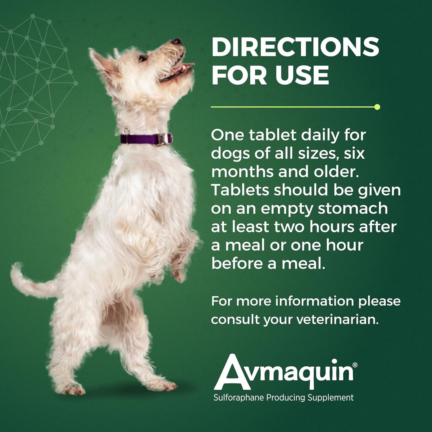 Nutramax Avmaquin Sulforaphane Producing Supplement for Dogs, 45 Tablets - Image 8