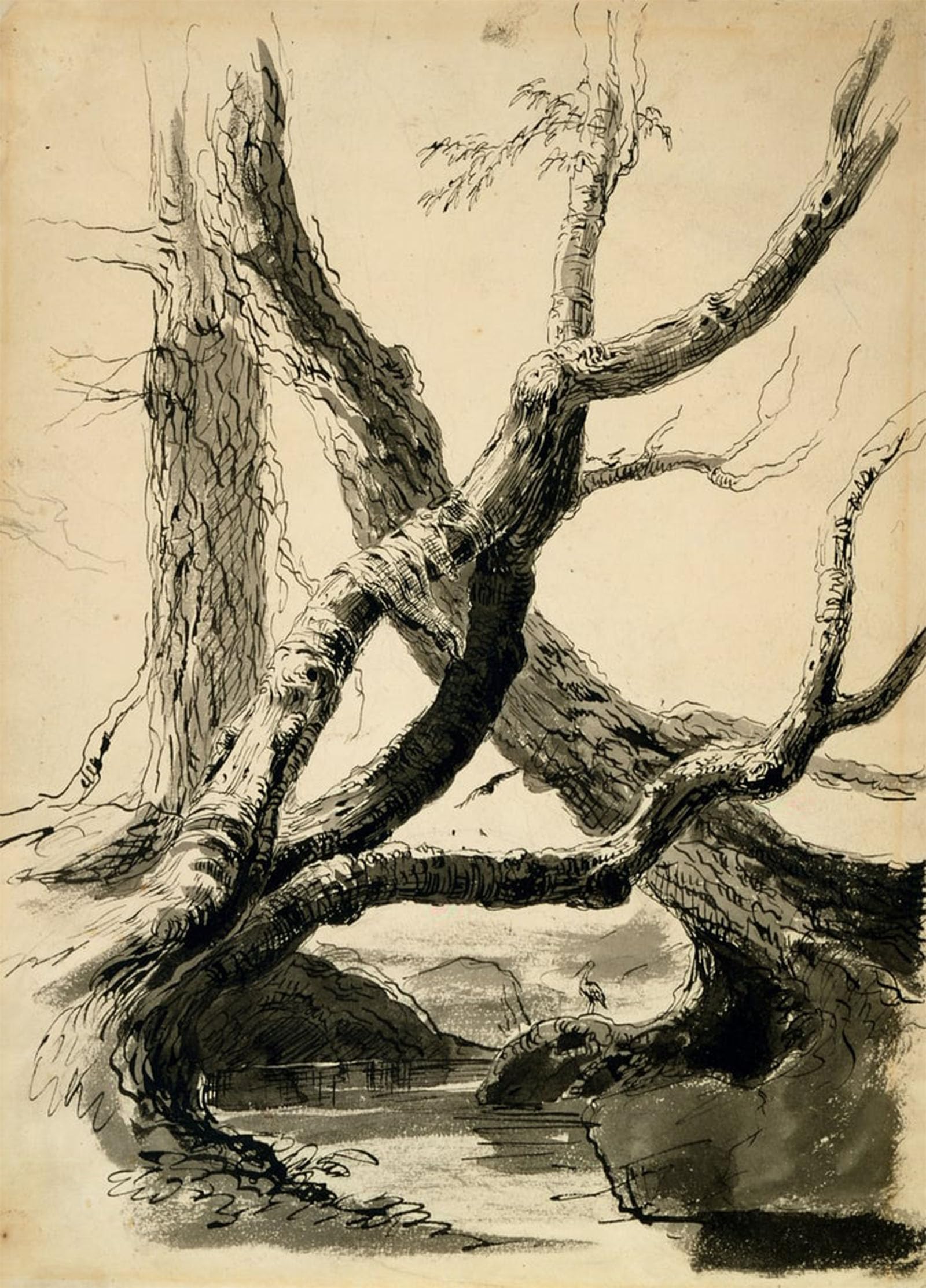 ARTXLXXBN Famous Painting Art Wall Decor Abstract Art Picture Sketch of Tree Trunks by Thomas Cole Animal Pictures for Home Decor 60x90cm