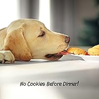 Vista 7 de Puerta para Mascotas de Interior - Puerta Plegable de 3 Paneles para Perros para Escaleras o Entradas - Cerca Independiente para Mascotas de 54x32