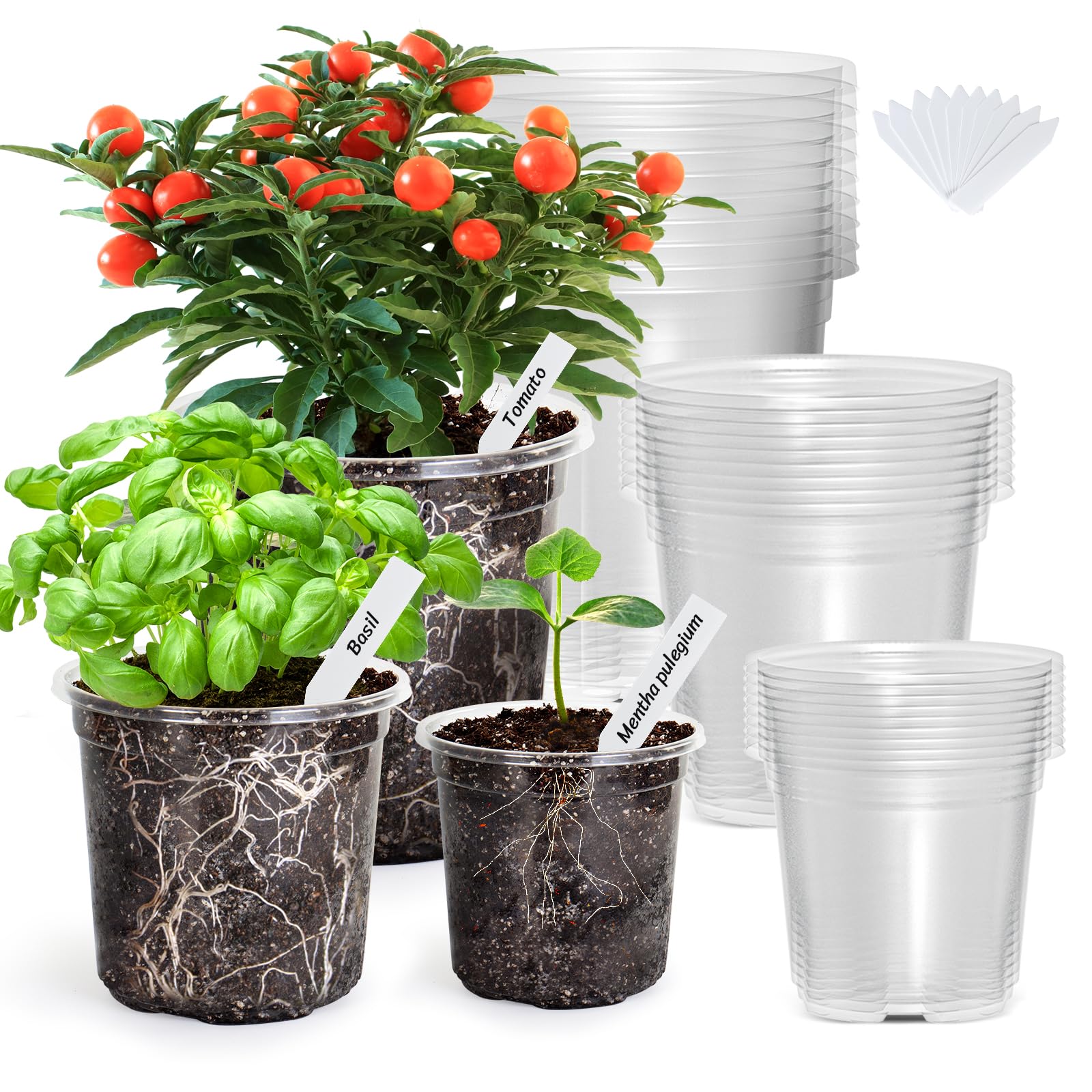 Pots de fleurs pour plantes d'intérieur et semis sur balcon