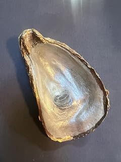 Handmade Oyster Shell Trinket Dish, Gold-Trimmed Pearl White, Coastal Jewelry Storage (Oyster) This is for 1 piece.
