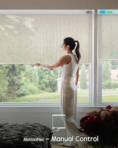 Vista 16 de Yoolax Persiana solar motorizada con control Romote para filtrar la luz, persianas enrollables con visión transparente (gris)